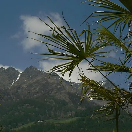 Alpina Naturns